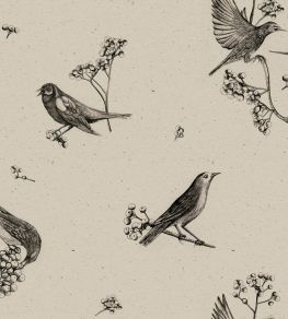Sweet Birds Wallpaper by Coordonne Black Sweet Birds Wallpaper by Coordonne Black