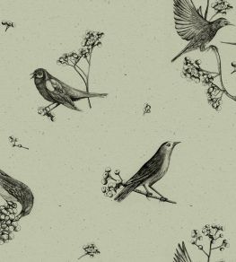 Sweet Birds Wallpaper by Coordonne Matcha Sweet Birds Wallpaper by Coordonne Matcha