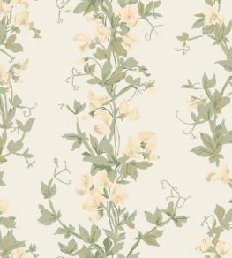 Sweet Pea Wallpaper by Farrow & Ball Cool Sweet Pea Wallpaper by Farrow & Ball Cool