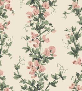 Sweet Pea Wallpaper by Farrow & Ball Warm Sweet Pea Wallpaper by Farrow & Ball Warm