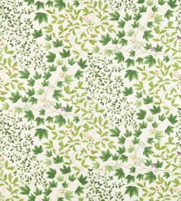 Sycamore & Oak Fabric by Sanderson Botanical Green Sycamore & Oak Fabric by Sanderson Botanical Green