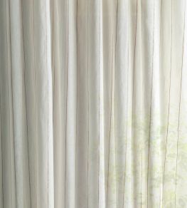 Telltale Fabric by Sanderson Conch