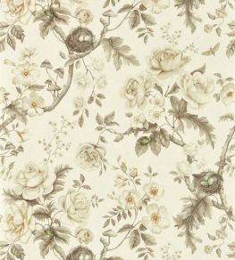 Tansy Bloom Wallpaper by Sanderson Oyster Tansy Bloom Wallpaper by Sanderson Oyster
