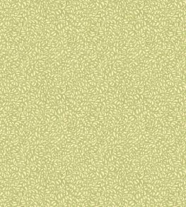 Tansy Wallpaper by GP & J Baker Green Tansy Wallpaper by GP & J Baker Green