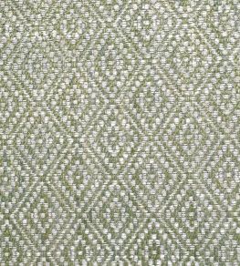Tarsa Fabric by Ian Sanderson Lichen