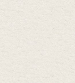 Teddy Fabric by Wemyss Ice Teddy Fabric by Wemyss Ice