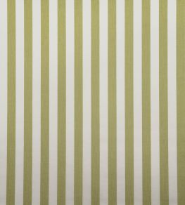 Tequila Fabric by Casal Pomme Tequila Fabric by Casal Pomme