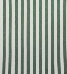 Tequila Fabric by Casal Sapin Tequila Fabric by Casal Sapin