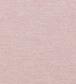 Tergo Fabric by Clarke & Clarke Blush