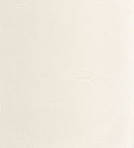 Terra Wallpaper by Caselio Craie Terra Wallpaper by Caselio Craie