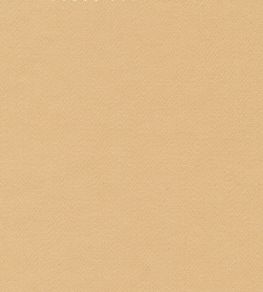 Liso Fabric by The Isle Mill Daisy