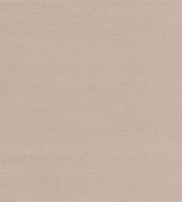 Liso Fabric by The Isle Mill Feather