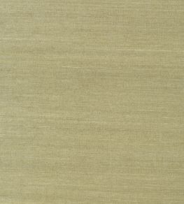 Shang Extra Fine Sisal Wallpaper by Thibaut Moss
