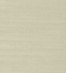 Shang Extra Fine Sisal Wallpaper by Thibaut Light Sage