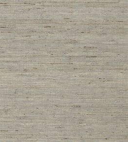 Maranta Arrowroot Wallpaper by Thibaut Grey Maranta Arrowroot Wallpaper by Thibaut Grey