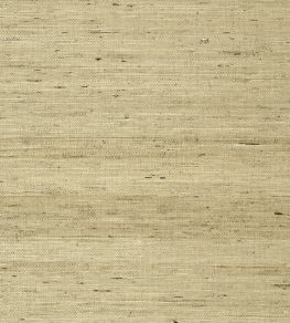 Maranta Arrowroot Wallpaper by Thibaut Beige