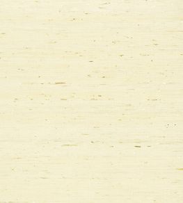 Maranta Arrowroot Wallpaper by Thibaut Cream