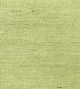 Maranta Arrowroot Wallpaper by Thibaut Green Maranta Arrowroot Wallpaper by Thibaut Green