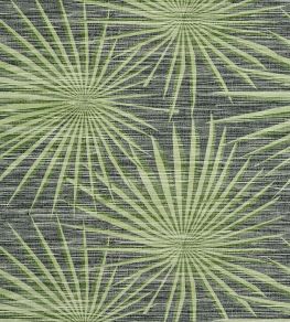 Palm Frond Wallpaper by Thibaut Black and Green