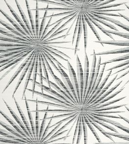 Palm Frond Wallpaper by Thibaut Black and White