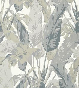 Travelers Palm Wallpaper by Thibaut Grey Travelers Palm Wallpaper by Thibaut Grey