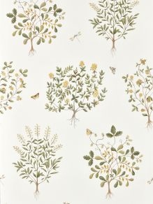 Thyme Walk Wallpaper by Sanderson Lichen/Gooseberry Thyme Walk Wallpaper by Sanderson Lichen/Gooseberry