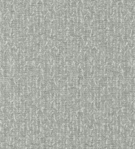 Tierra Fabric by Clarke & Clarke Charcoal