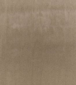 Todd Fabric by Zinc Putty Todd Fabric by Zinc Putty