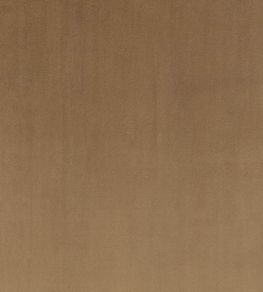 Todd Fabric by Zinc Truffle Todd Fabric by Zinc Truffle
