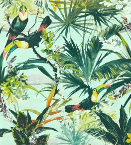 Toucan Wallpaper by Clarke & Clarke Sky Toucan Wallpaper by Clarke & Clarke Sky
