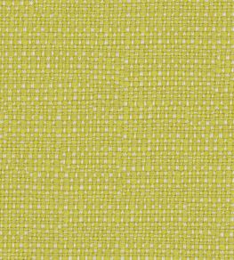 Tresco Fabric by Osborne & Little Lime