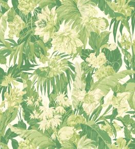 Tropical Floral Wallpaper by GP & J Baker Green Tropical Floral Wallpaper by GP & J Baker Green