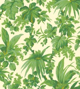 Tropical Wallpaper by Jannelli&Volpi Green Tropical Wallpaper by Jannelli&Volpi Green