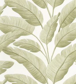 Tropicalia Wallpaper by Caselio Amande Tropicalia Wallpaper by Caselio Amande