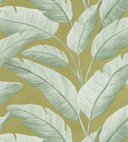 Tropicalia Wallpaper by Caselio Kaki Tropicalia Wallpaper by Caselio Kaki