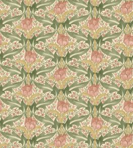 Tulip & Jasmine Wallpaper by GP & J Baker Blush Tulip & Jasmine Wallpaper by GP & J Baker Blush