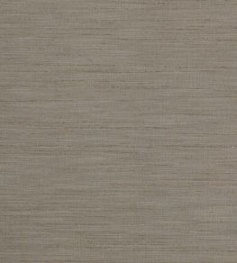 Tussah Fabric by Clarke & Clarke Mocha