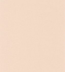 Uni Gaze Wallpaper by Caselio Coquille Doeuf Uni Gaze Wallpaper by Caselio Coquille Doeuf