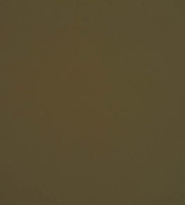 Velluto Stretto Fabric by Designers Guild Olive