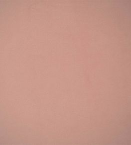Velluto Stretto Fabric by Designers Guild Pale Rose