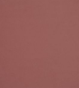 Velluto Stretto Fabric by Designers Guild Rose