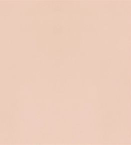 Velluto Fabric by Designers Guild Shell Velluto Fabric by Designers Guild Shell