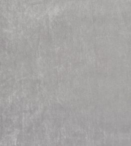 Velour Fabric by Prestigious Textiles Carbon