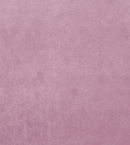 Velour Fabric by Prestigious Textiles Orchid Velour Fabric by Prestigious Textiles Orchid