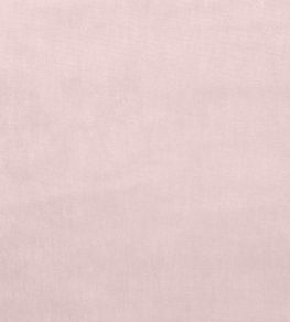 Velour Fabric by Prestigious Textiles Woodrose