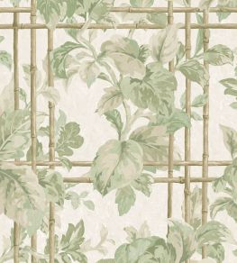 Verdant Trellis Wallpaper by Woodchip & Magnolia Laurel