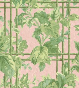 Verdant Trellis Wallpaper by Woodchip & Magnolia Pistachio Blush