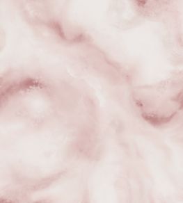 Viento Mural by Clarke & Clarke Blush Viento Mural by Clarke & Clarke Blush