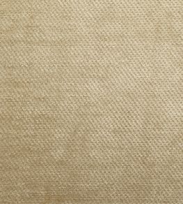 Dolce Fabric by Warwick Champagne Dolce Fabric by Warwick Champagne