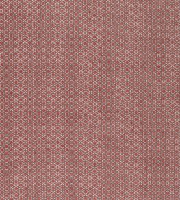 Paley Fabric by Warwick Rose